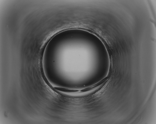 X0000091461500200708231305