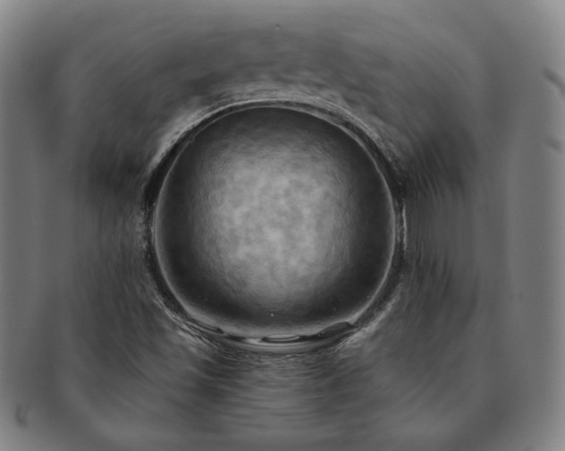 X0000091461501200708231305