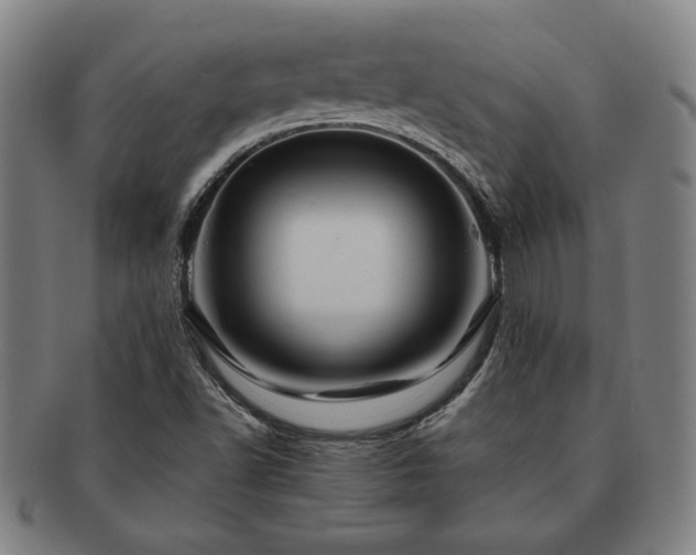 X0000091461502200708231305