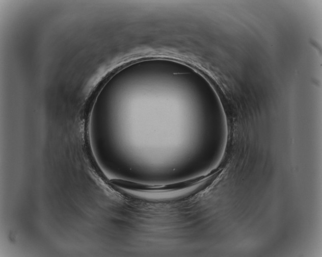 X0000091461503200708231305