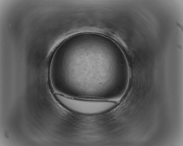 X0000091461504200708231305