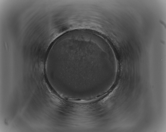 X0000091461505200708231305