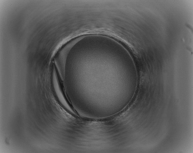 X0000091461506200708231305