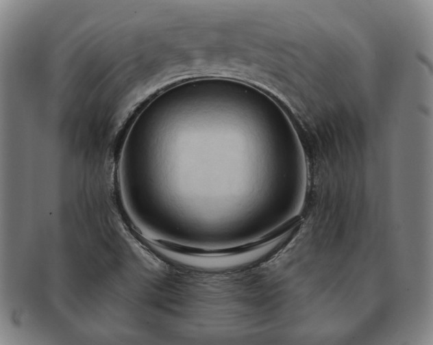 X0000091461507200708231305