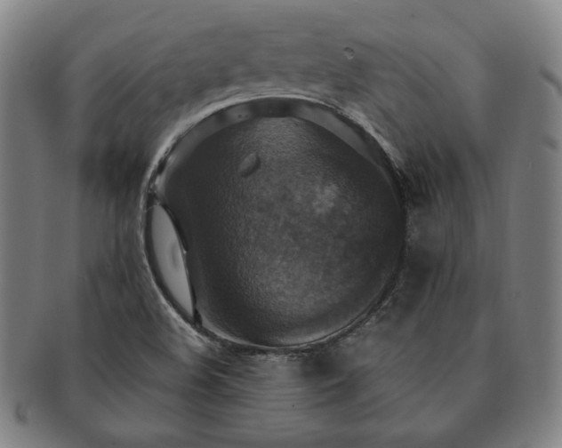 X0000091461508200708231305