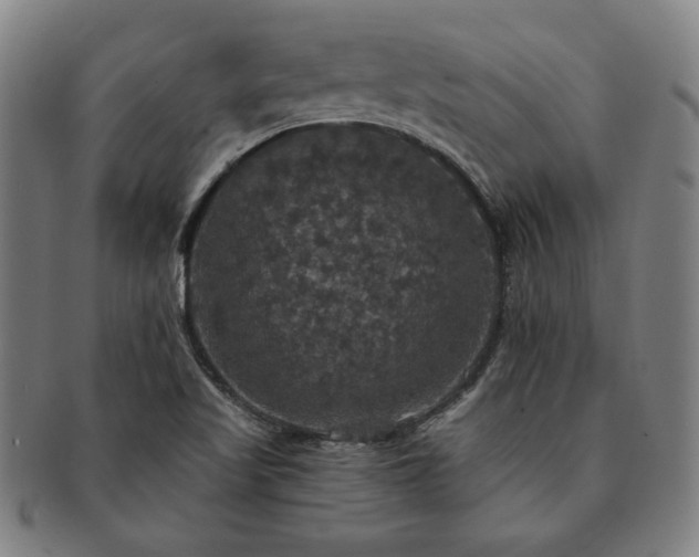 X0000091461509200708231305