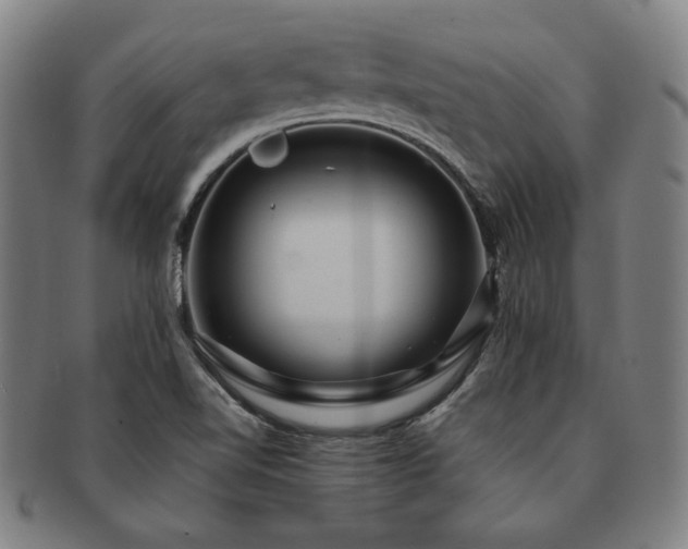X0000091461510200708231305