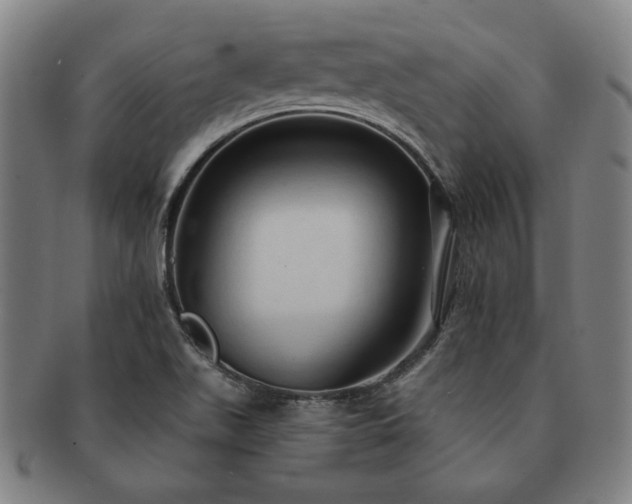 X0000091461511200708231305