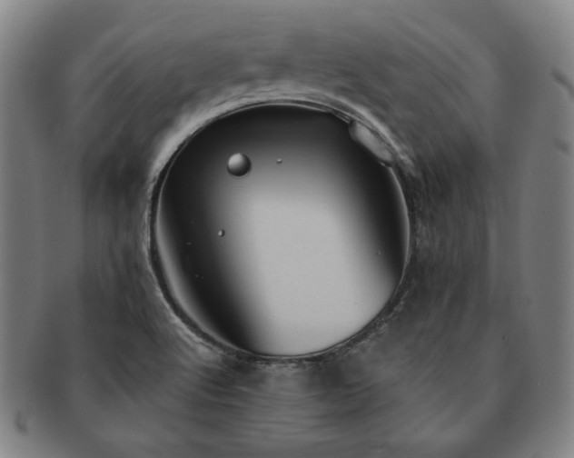 X0000091461512200708231305