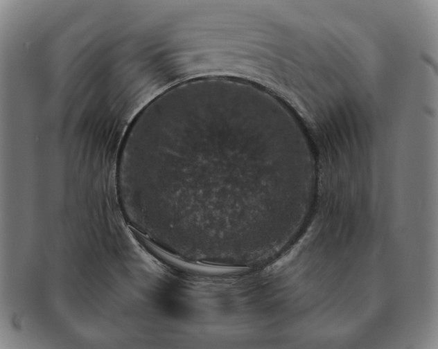 X0000091461513200708231305