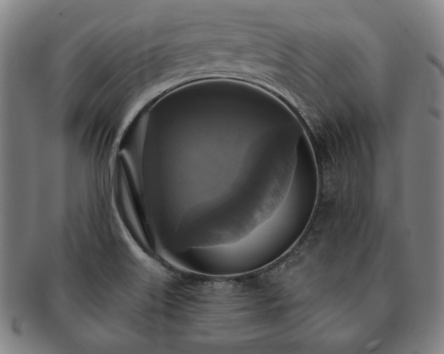 X0000091461515200708231305