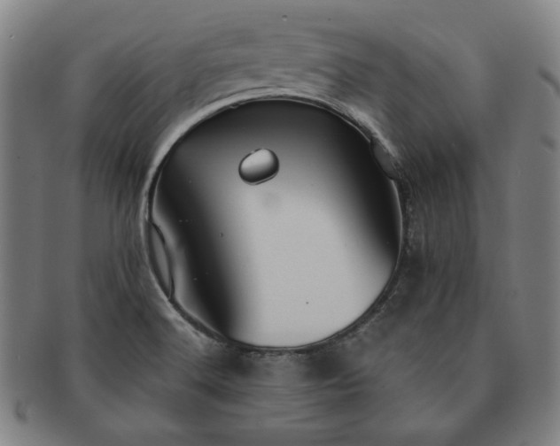 X0000091461516200708231305