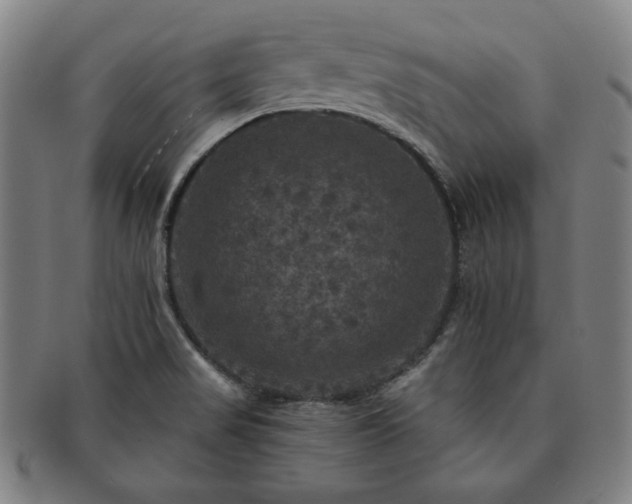 X0000091461517200708231305