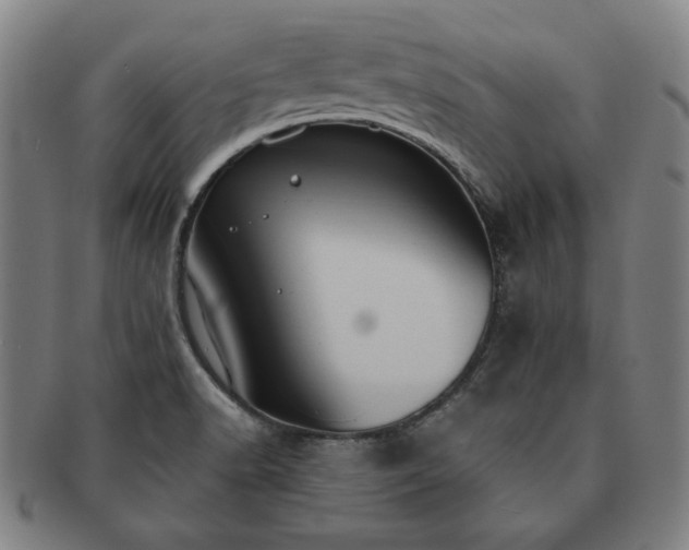 X0000091461518200708231305