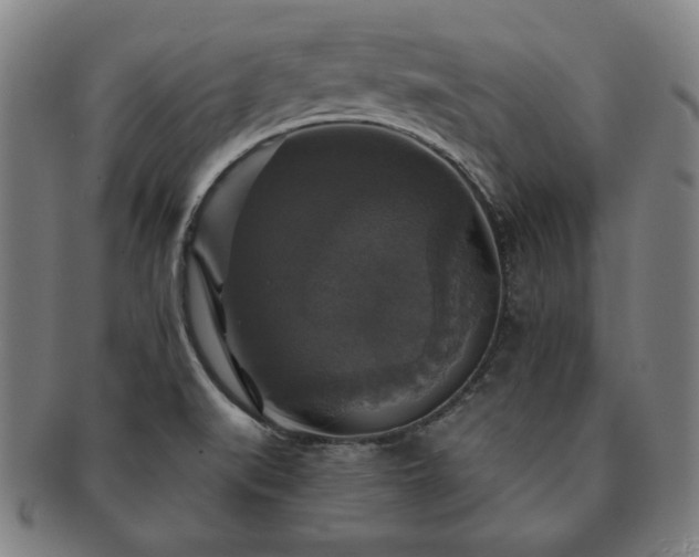 X0000091461519200708231306