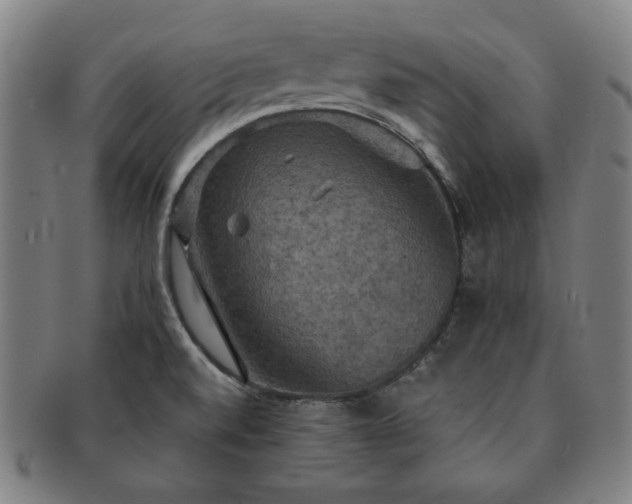 X0000091461520200708231306
