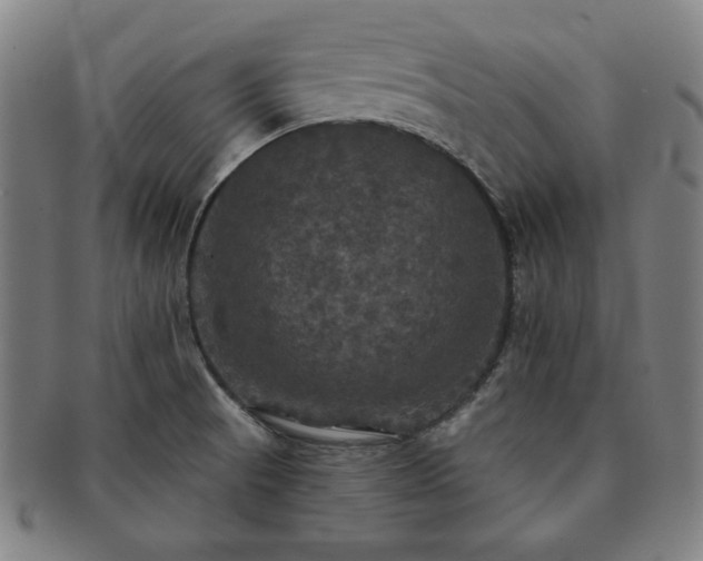 X0000091461521200708231306