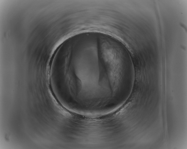 X0000091461522200708231306