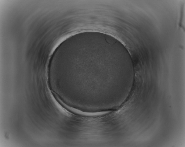 X0000091461523200708231306