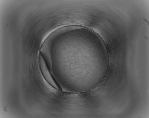 X0000091461524200708231306