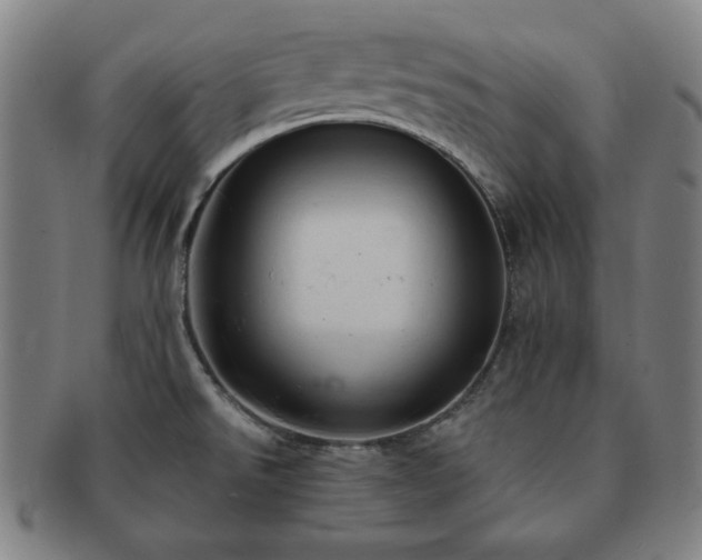 X0000091461526200708231306
