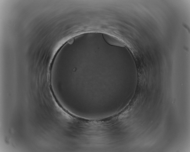 X0000091461527200708231306