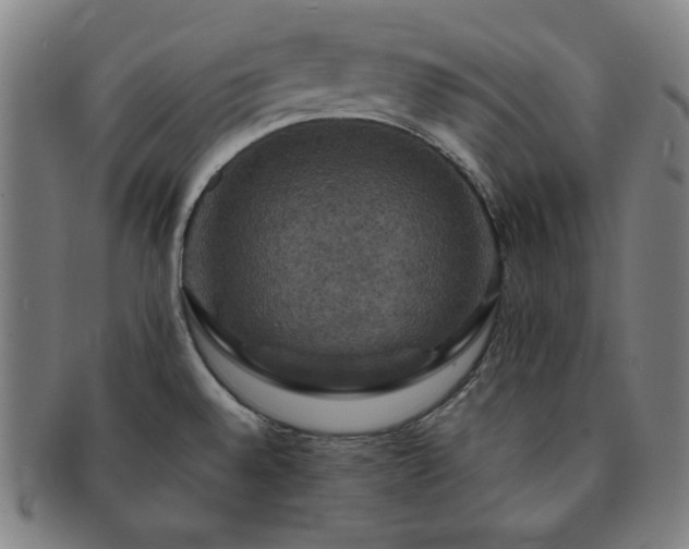 X0000091461528200708231306