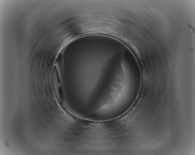 X0000091461529200708231306