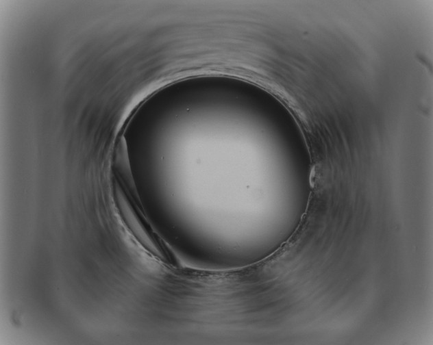 X0000091461530200708231306