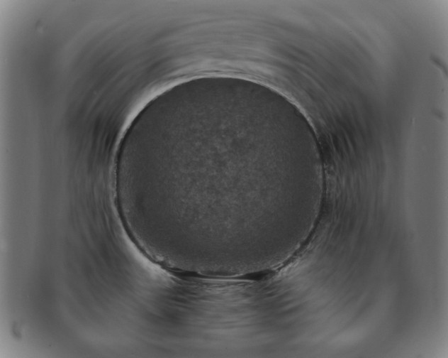 X0000091461531200708231306