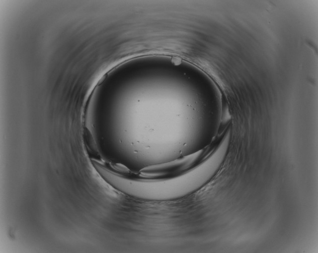 X0000091461532200708231306