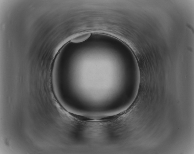 X0000091461534200708231306