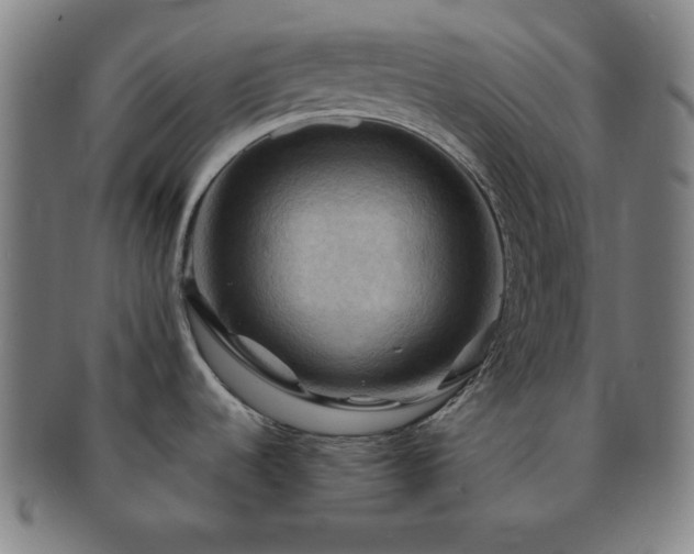 X0000091461536200708231306