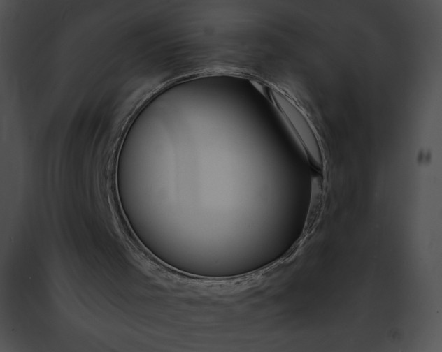 X0000091460001200708301842