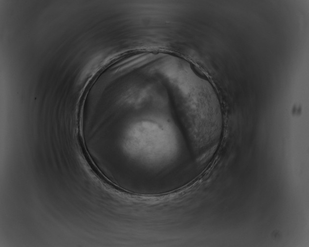 X0000091460002200708301842