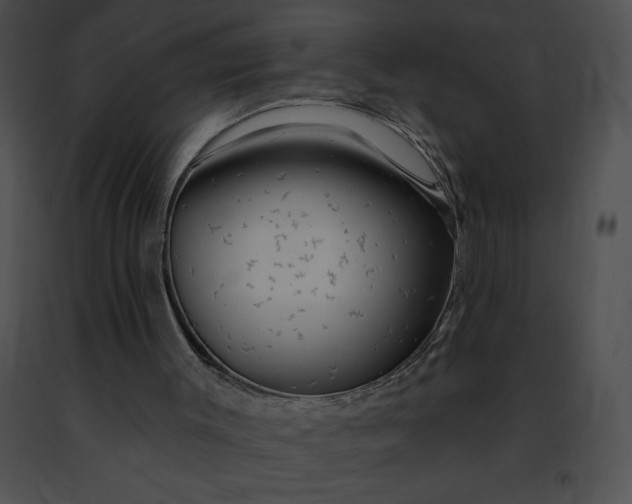 X0000091460003200708301842