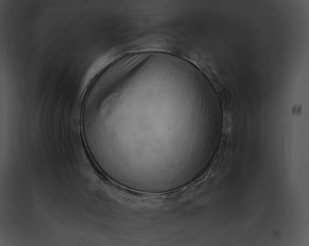 X0000091460004200708301842