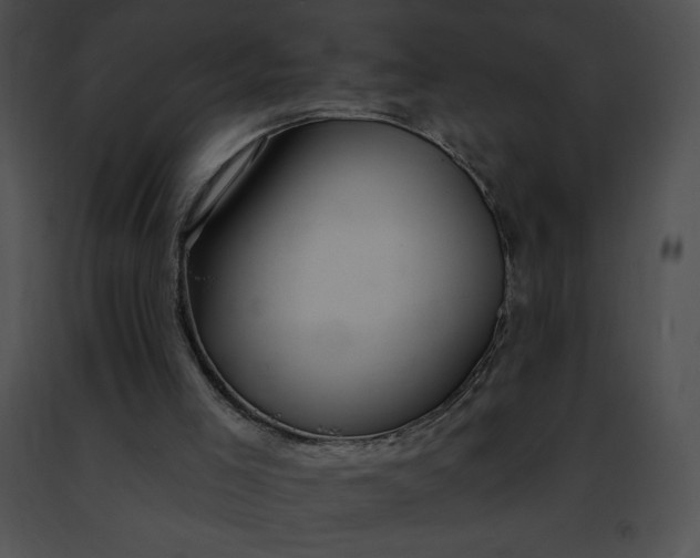 X0000091460005200708301842