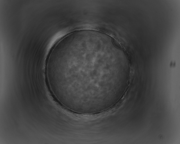 X0000091460006200708301842