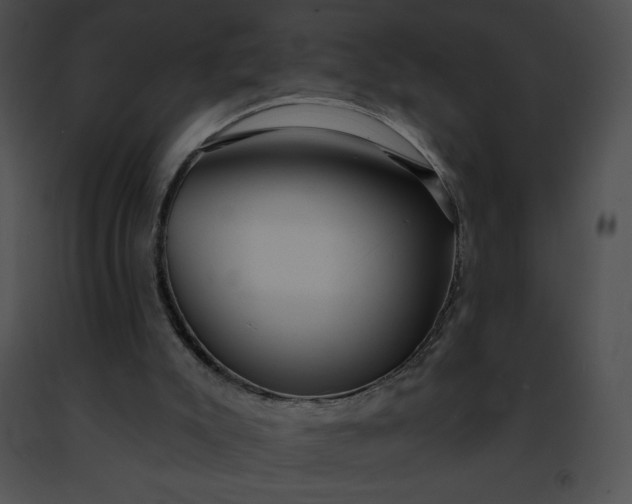 X0000091460007200708301842