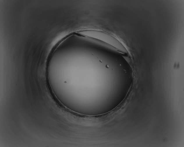 X0000091460008200708301842