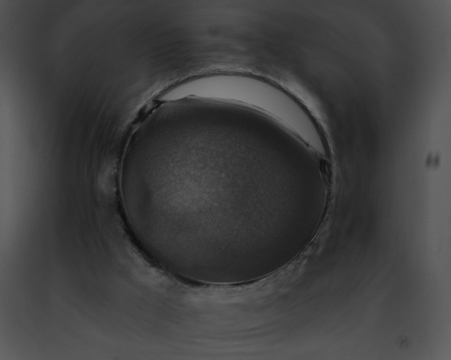 X0000091460009200708301842