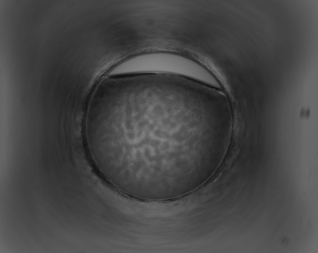 X0000091460010200708301841