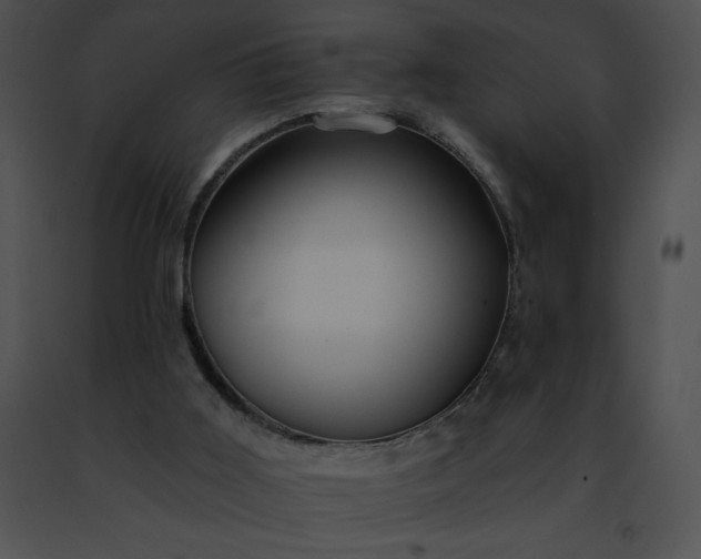 X0000091460011200708301841