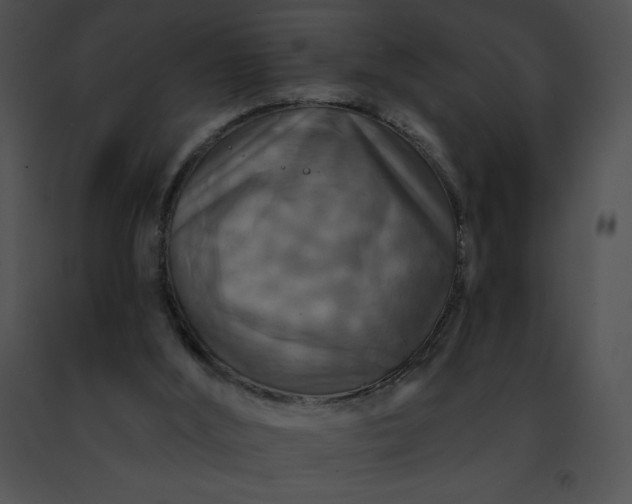 X0000091460012200708301841