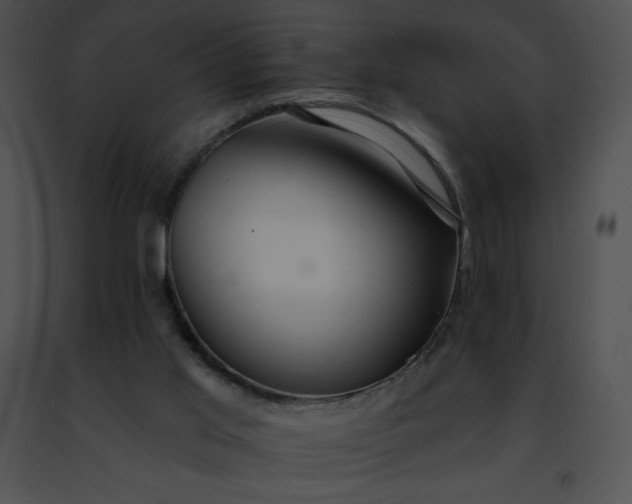 X0000091460013200708301841