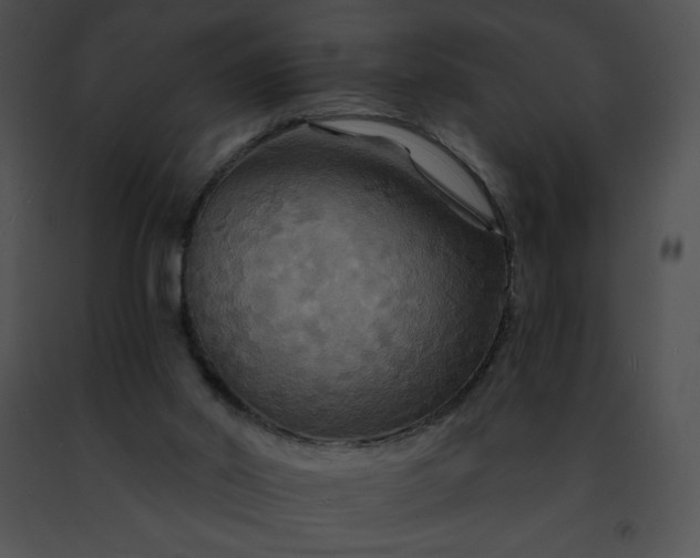 X0000091460014200708301841