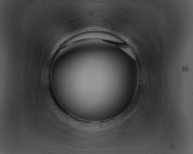 X0000091460015200708301841