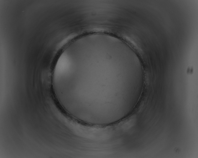 X0000091460016200708301841