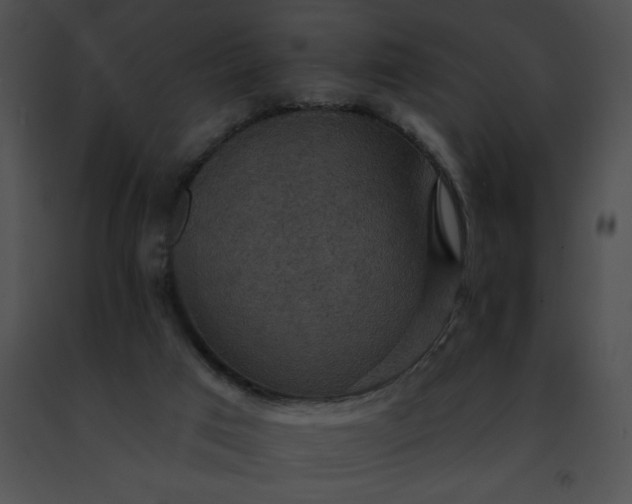 X0000091460017200708301841